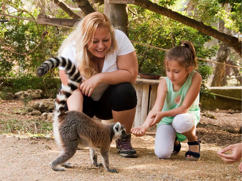 Le migliori cose da fare a Minorca nel 2026: visitare lo zoo