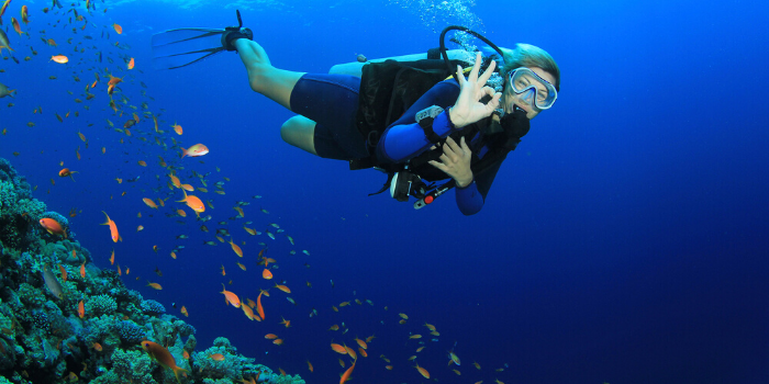 Scuba Diving in Menroca - Activities