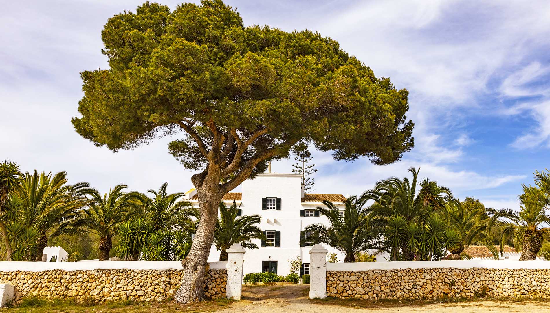 Esclusive tenute di ville di lusso a Minorca